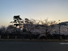 00E0FA39-632F-4CBD-88FF-12A61F25C623.jpeg