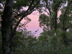 IMG_6113.jpeg