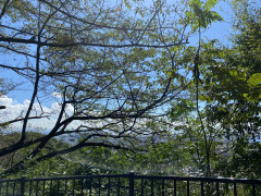 IMG_6514.jpeg