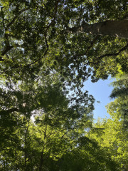 IMG_6512.jpeg
