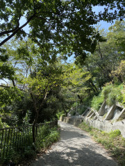 IMG_6536.jpeg