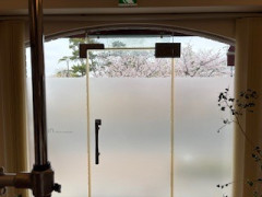IMG_1513.jpeg