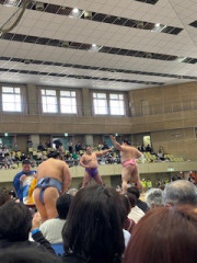 IMG_1532.jpeg