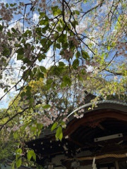 IMG_1542.jpeg