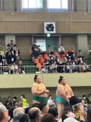 IMG_1545.jpeg