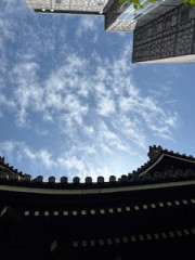 IMG_1556.jpeg
