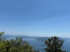 IMG_1584.jpeg