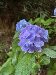 IMG_1605.jpeg