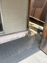 IMG_1615.jpeg