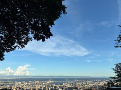 IMG_1669.jpeg