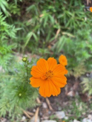 IMG_1671.jpeg