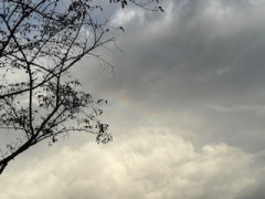 IMG_1678.jpeg