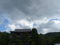 IMG_9414.jpeg