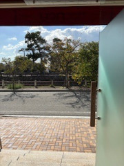 IMG_1694.jpeg