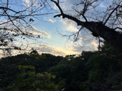 IMG_1696.jpeg