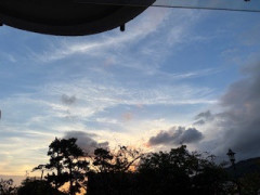 IMG_1717.jpeg