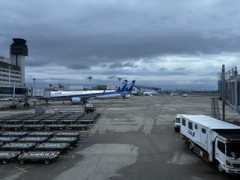 IMG_1906.jpeg