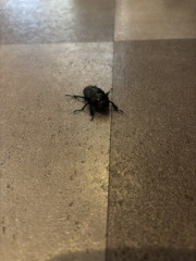 IMG_1913.jpeg