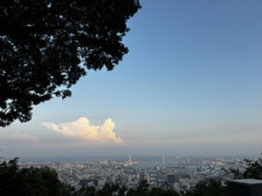 IMG_1920.jpeg