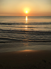 IMG_0327.jpeg