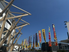 IMG_1935.jpeg