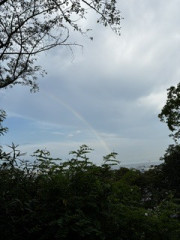 IMG_1946.jpeg