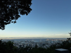 IMG_1956.jpeg