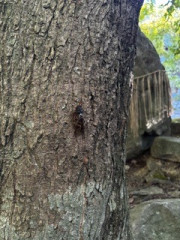 IMG_1957.jpeg