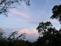IMG_1979.jpeg