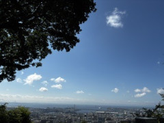 IMG_1984.jpeg