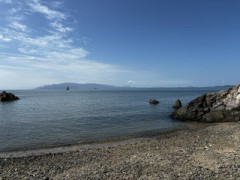 IMG_1994.jpeg