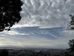 IMG_2003.jpeg