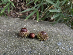 IMG_2005.jpeg