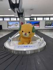 IMG_2025.jpeg