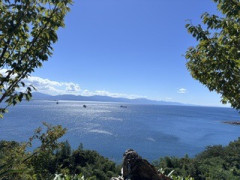 IMG_2028.jpeg