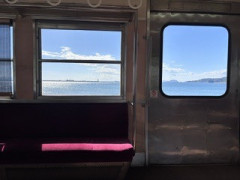 IMG_2031.jpeg