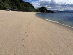 IMG_2045.jpeg