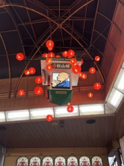 IMG_2032.jpeg