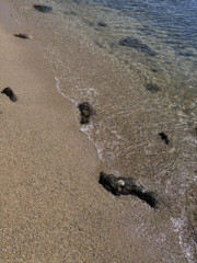 IMG_2051.jpeg