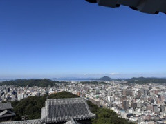 IMG_2057.jpeg