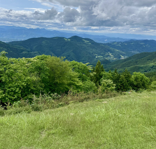 IMG_6015.jpg
