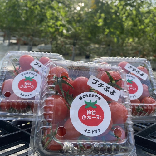 【神谷ふぁーむ】ミニトマト.jpeg