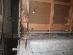IMGP0033.JPG
