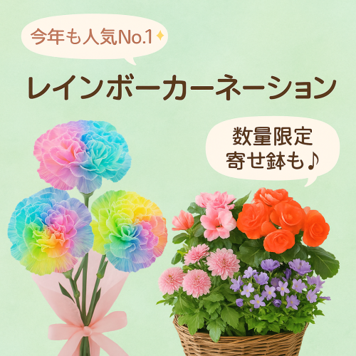 母の日は５月１１日です