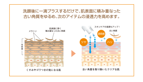 ターンオーバーの重要性
