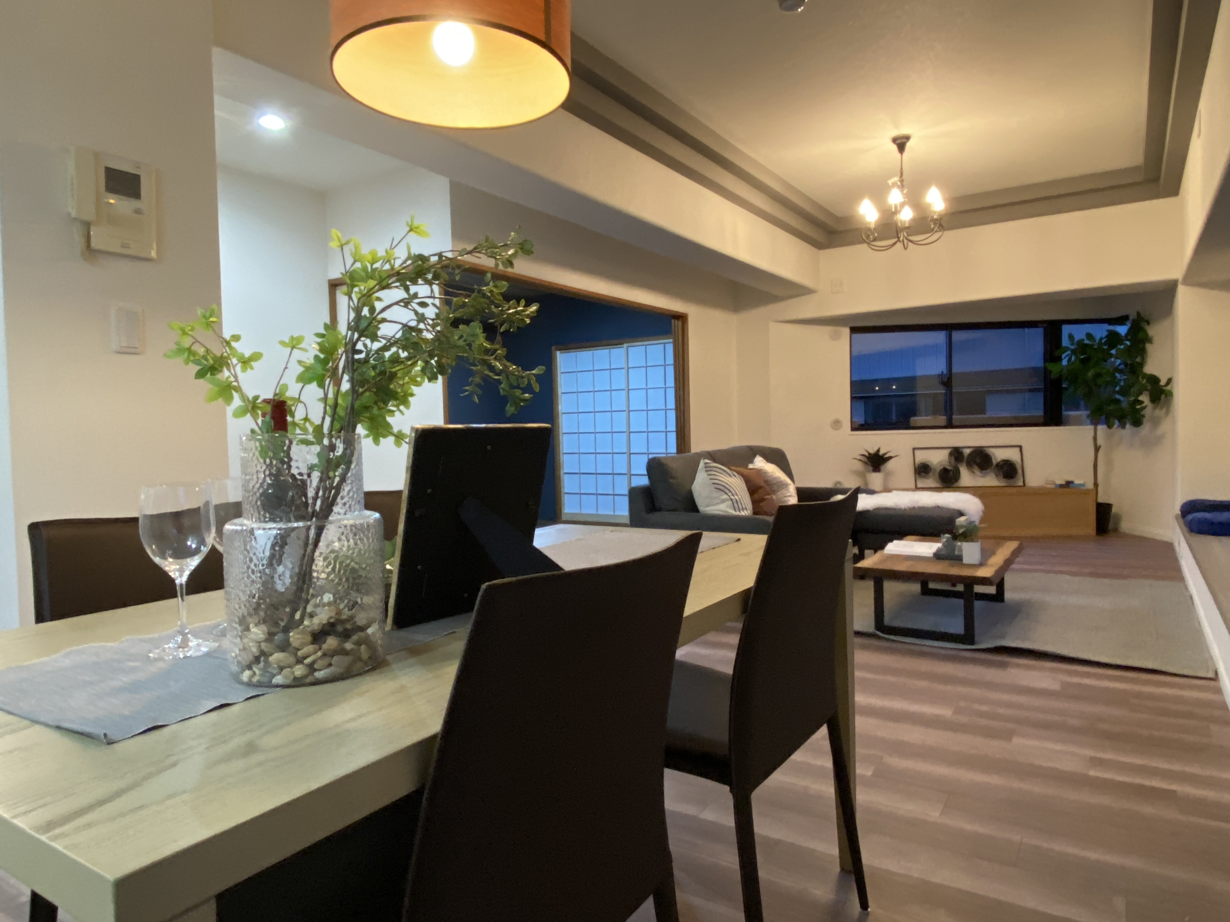 写真 2025-04-23 5 26 42.jpg