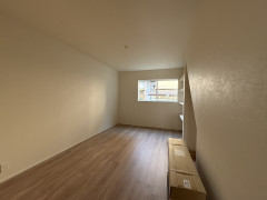 写真 2026-03-09 11 04 55.jpg