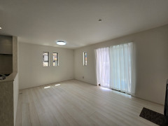 20260428_114457.jpg