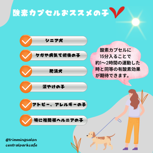 White and Orange Feminine Daily Life Poll Question Pop Up Instagram Post (1).png