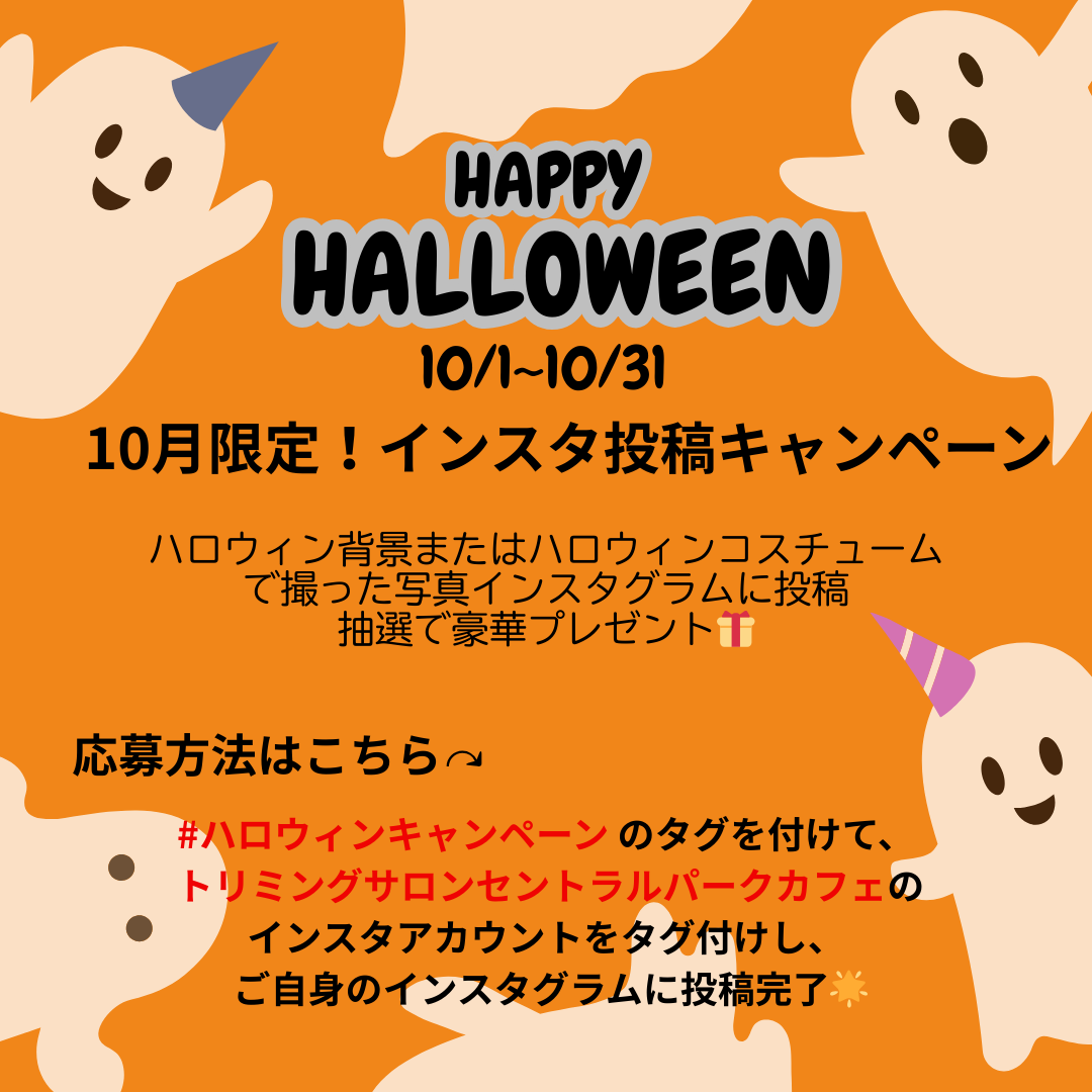 オレンジ 黒 白  シンプル かわいい ハロウィンパーティー お知らせ インスタグラム投稿 (2).png